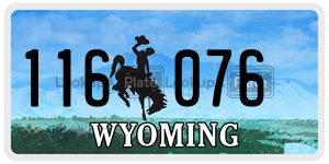 116076  license plate in WY