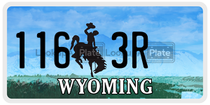 1163R  license plate in WY