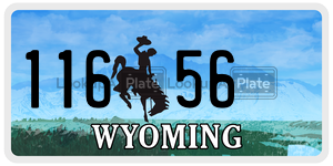 11656  license plate in WY