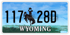 11728D  license plate in WY