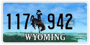 117942  license plate in WY