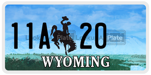 11A20  license plate in WY