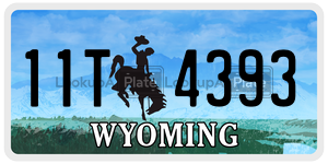 11T4393 license plate in Wyoming