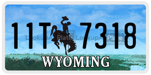 11T7318  license plate in WY