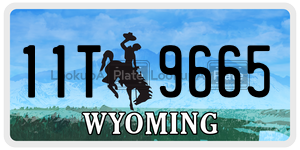 11T9665  license plate in WY