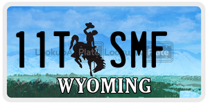 11TSMF  license plate in WY