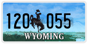 120055  license plate in WY