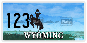 123  license plate in WY