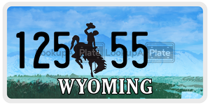 12555  license plate in WY