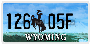 12605F  license plate in WY