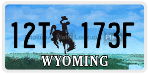 12T173F  license plate in WY