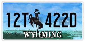 12T422D  license plate in WY