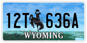 12T636A  license plate in WY