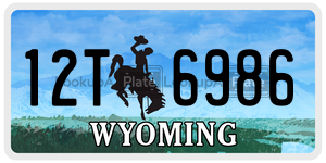 12T6986  license plate in WY
