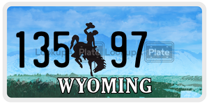 13597  license plate in WY