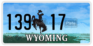 13917  license plate in WY