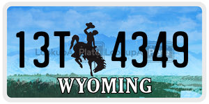 13T4349  license plate in WY