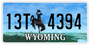 13T4394  license plate in WY