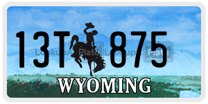 13T875  license plate in WY