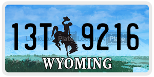 13T9216  license plate in WY