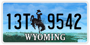 13T9542  license plate in WY