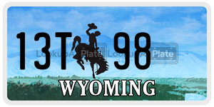 13T98  license plate in WY