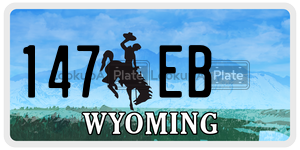 147EB  license plate in WY