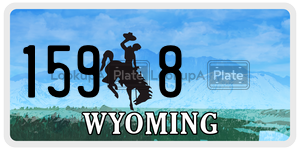 1598  license plate in WY