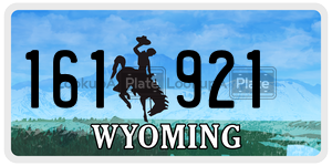 161921 license plate in Wyoming