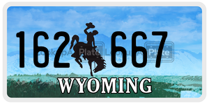 162667  license plate in WY