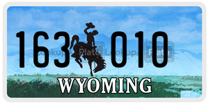 163010 license plate in Wyoming