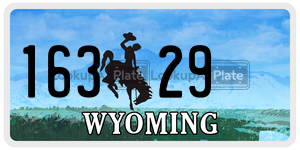 16329  license plate in WY
