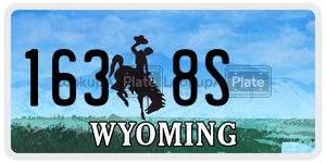 1638S  license plate in WY