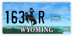 163R  license plate in WY