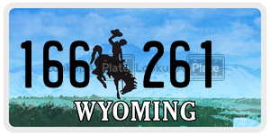 166261  license plate in WY