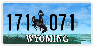 171071  license plate in WY