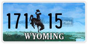 17115  license plate in WY