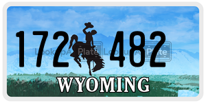 172482  license plate in WY