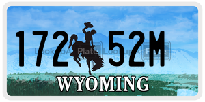17252M  license plate in WY