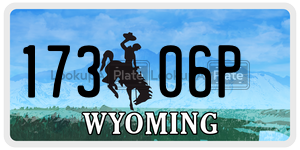 17306P  license plate in WY