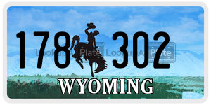 178302  license plate in WY