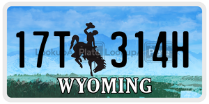 17T314H  license plate in WY