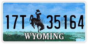 17T35164 license plate in Wyoming