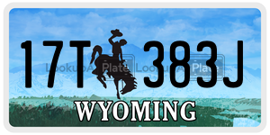 17T383J  license plate in WY