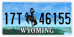 17T46155  license plate in WY