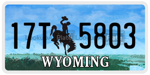 17T5803  license plate in WY