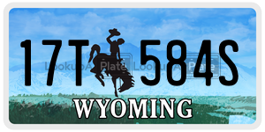 17T584S  license plate in WY