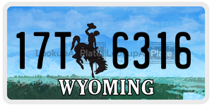 17T6316  license plate in WY