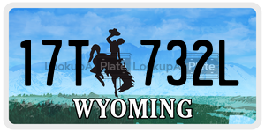 17T732L  license plate in WY