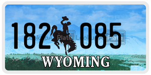 182085  license plate in WY
